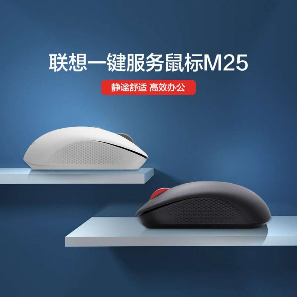 Lenovo Wireless version-M25-white 31105349