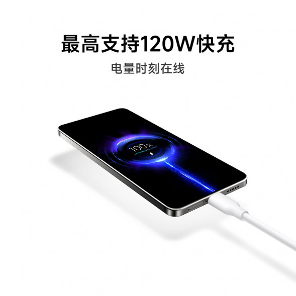 Xiaomi 6A skin-friendly silicone fast charging data cable 2m (A to C) purple 200cm 59434