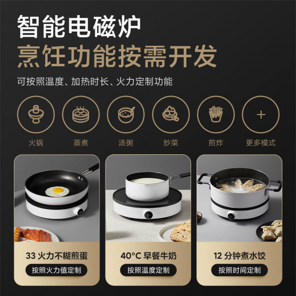 Xiaomi Mijia Induction cooker 2 34112