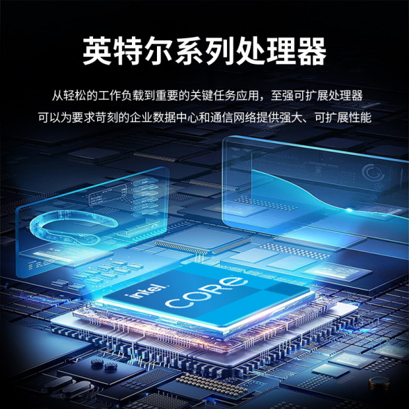 Lenovo ThinkServer T100C commercial office ERP financial system server host i5-10400/8G/1T+256G T100CRC602