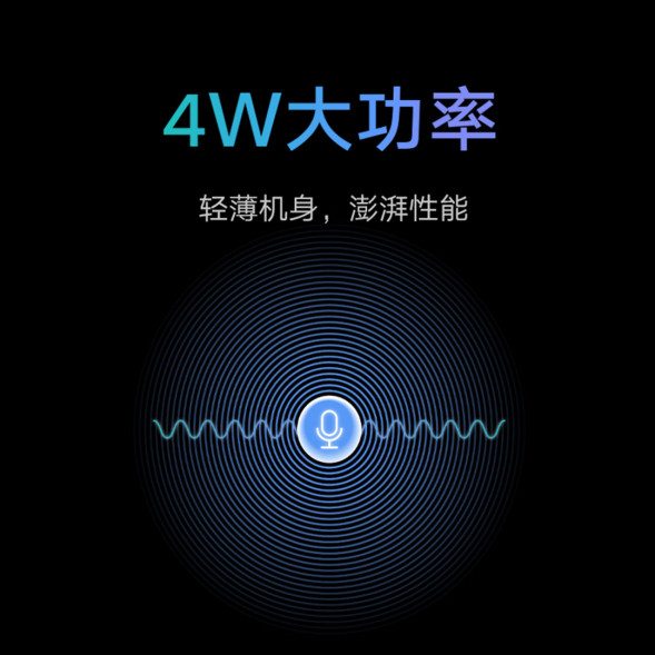 Xiaomi Walkie-Talkie 2S space gray 41347