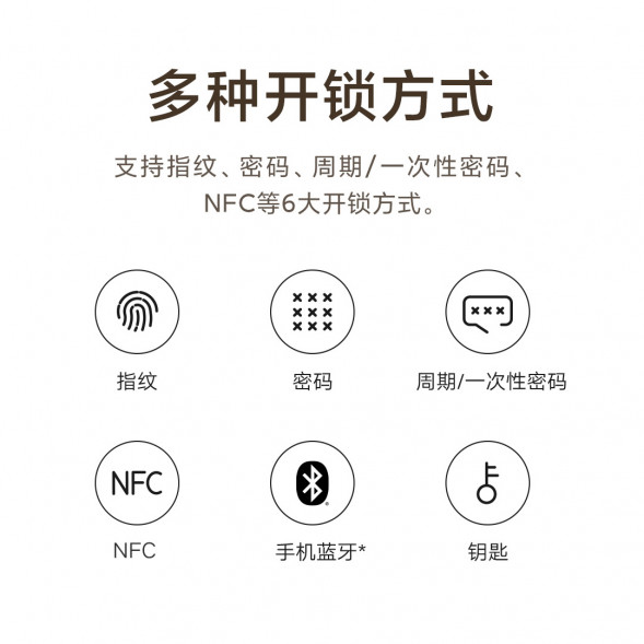 Xiaomi Smart door lock E20 WIFI version 47578