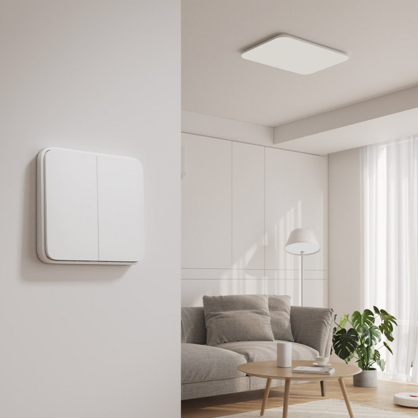 Xiaomi Wireless switch two-button version 37519