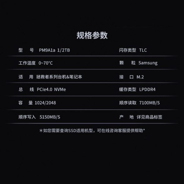 Lenovo Original SSD (PM9A1a)-1TB 870009079