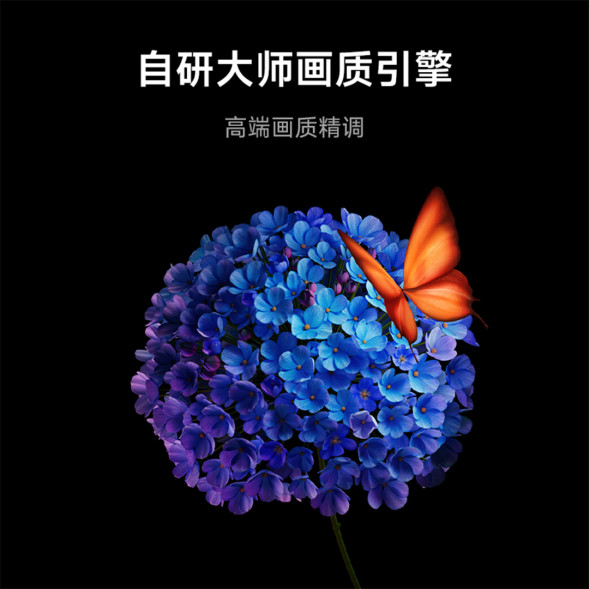 Xiaomi TV S 65 Mini LED 65-inch Energy Saving Edition 63005