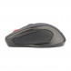 Lenovo Wireless Mouse M21 202211110008