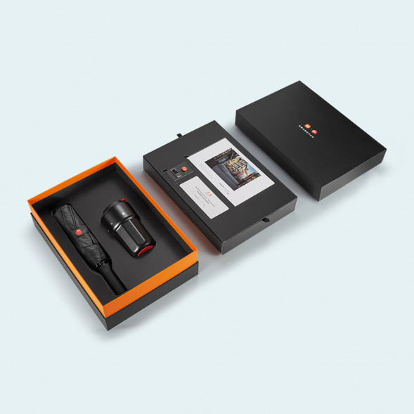 Xiaomi Exclusive gift box 43841