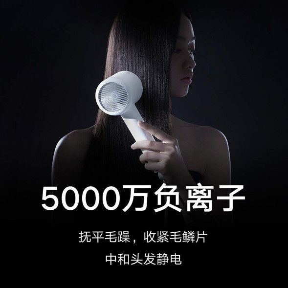 Xiaomi Mijia Negative ion quick-drying hair dryer H300 55019