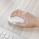 Xiaomi Wireless Bluetooth Dual Mode Mouse Silent Version White 24451
